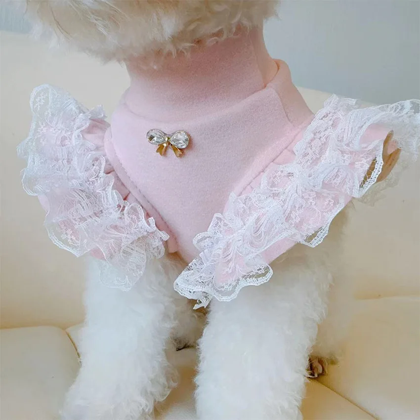 Dierenkleding Herfst- en winte - Lace Teddy Lingerie recensie en prijs