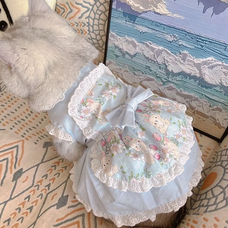 Huisdier Schattige Schort Jurk - Lace Teddy Lingerie recensie en prijs